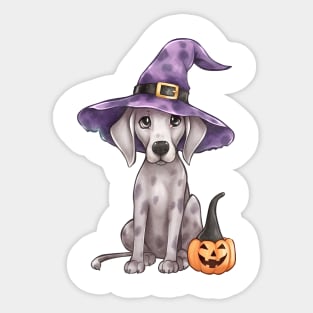 Watercolor Great Dane Dog in Witch Hat Sticker